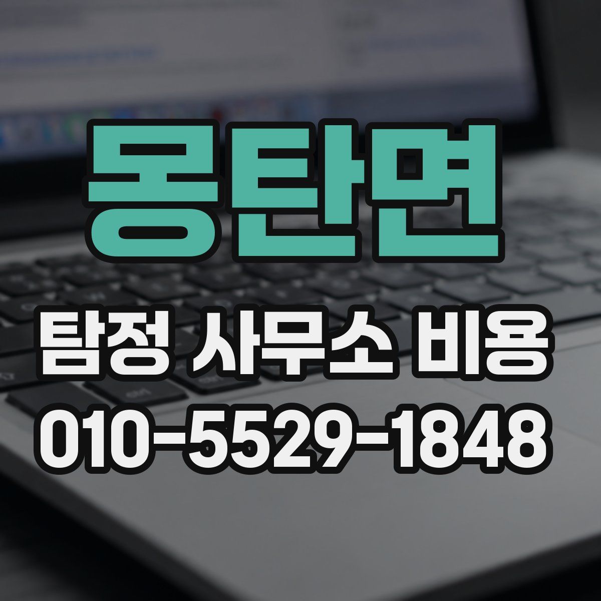 몽탄면 탐정 사무소 비용