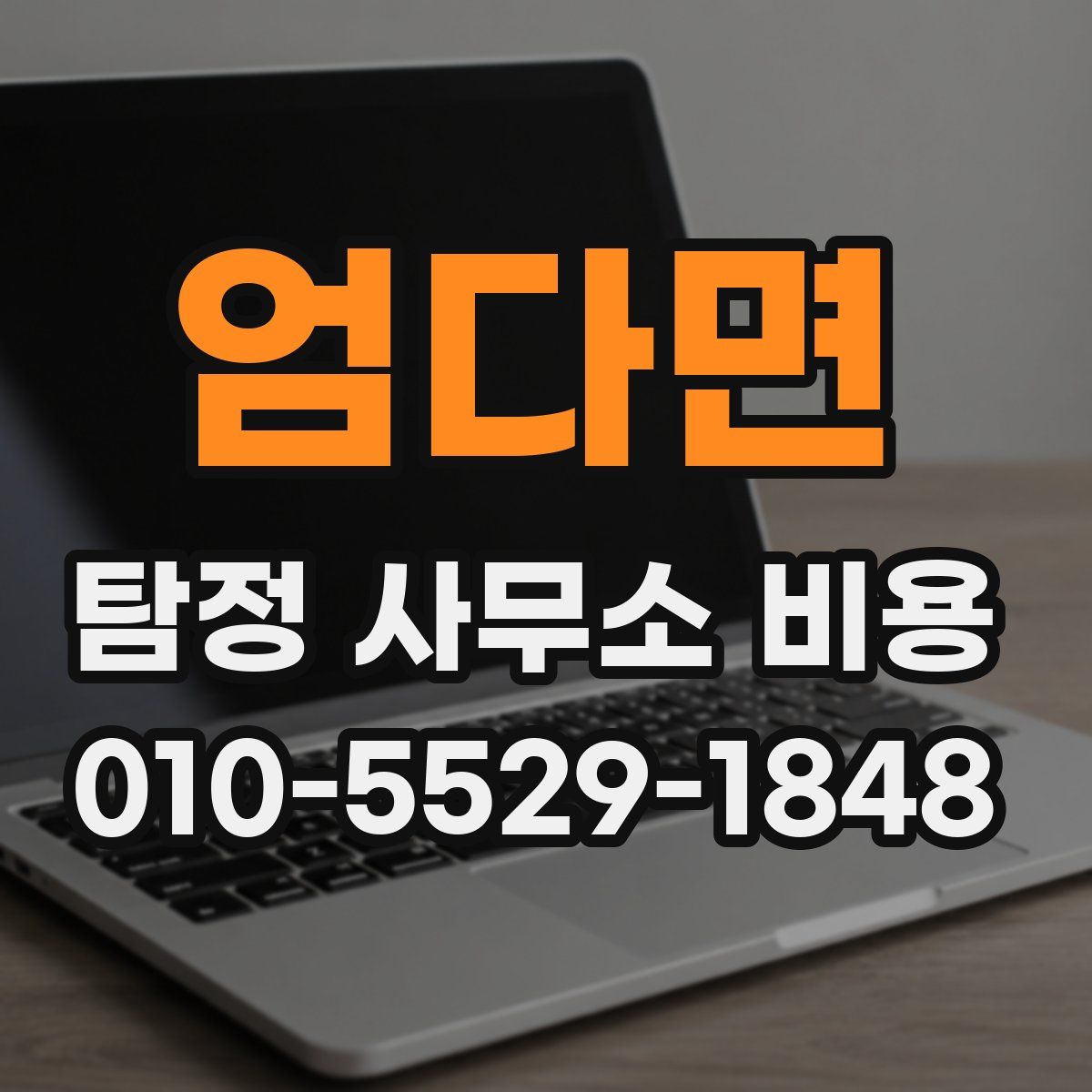 엄다면 탐정 사무소 비용