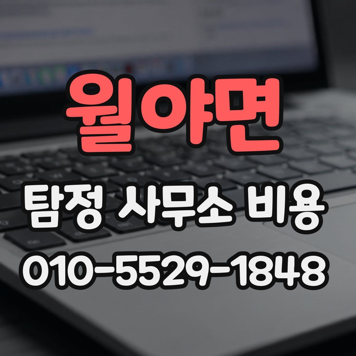 월야면 탐정 사무소 비용