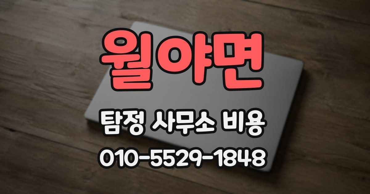 월야면 탐정 사무소 비용