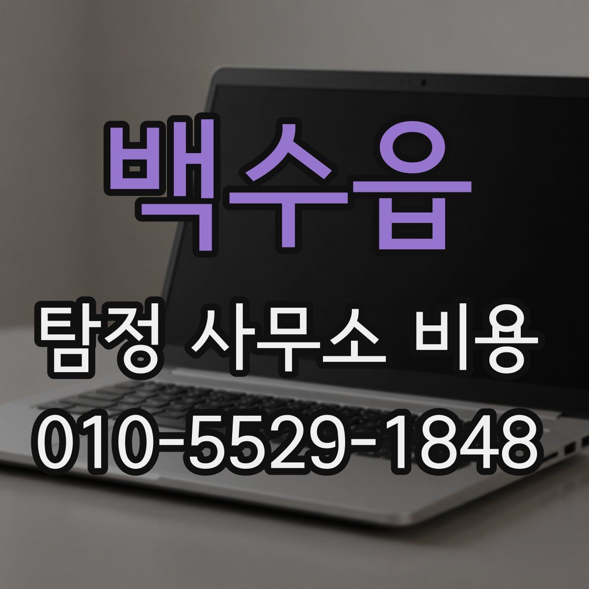백수읍 탐정 사무소 비용
