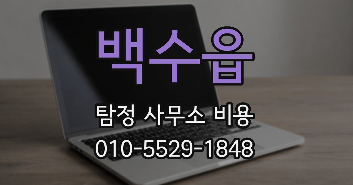 백수읍 탐정 사무소 비용