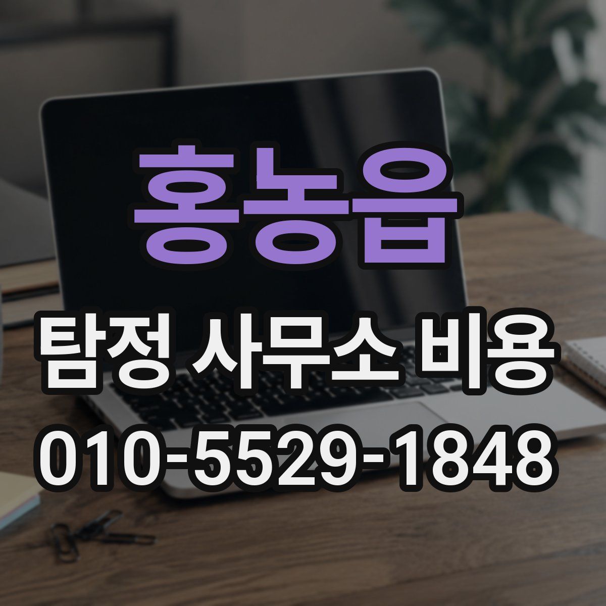 홍농읍 탐정 사무소 비용