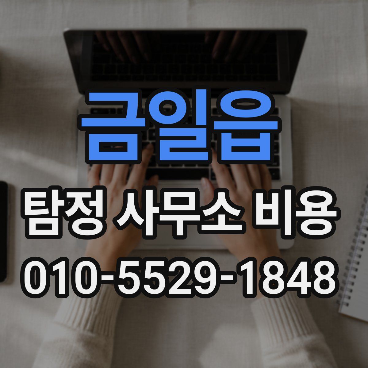 금일읍 탐정 사무소 비용