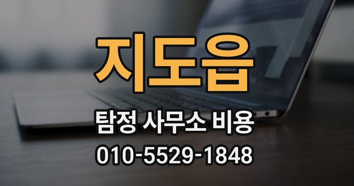 지도읍 탐정 사무소 비용
