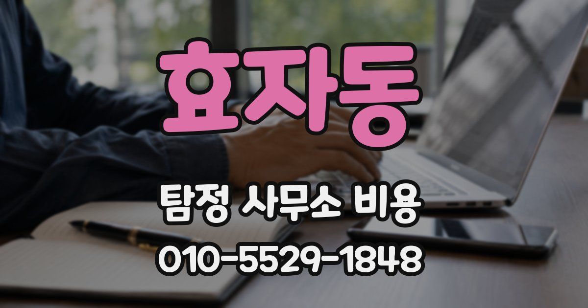 효자동 탐정 사무소 비용