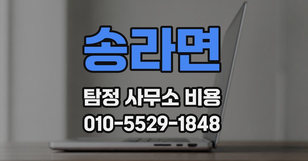 송라면 탐정 사무소 비용