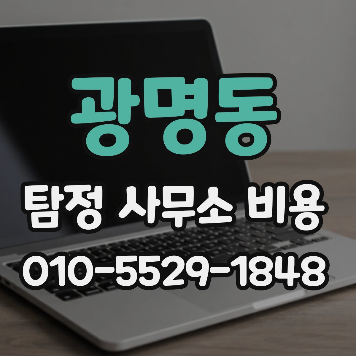 광명동 탐정 사무소 비용