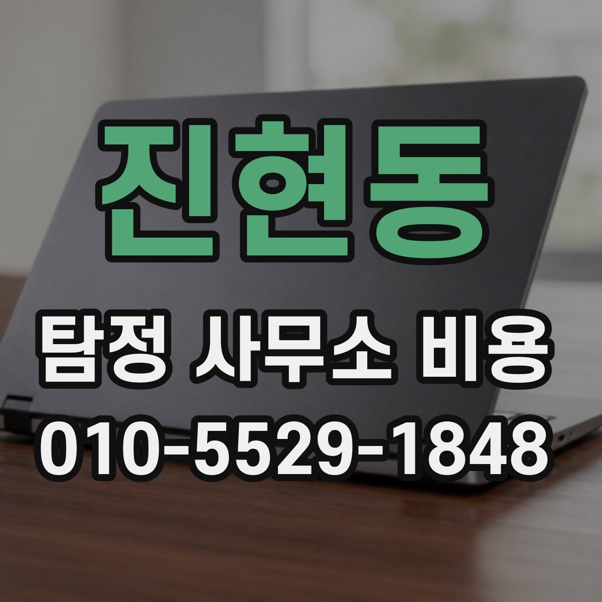 진현동 탐정 사무소 비용