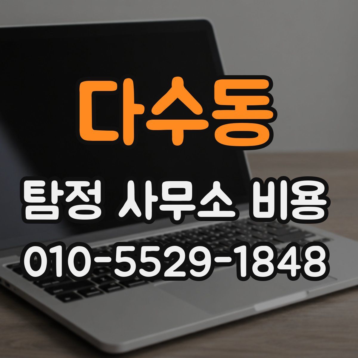 다수동 탐정 사무소 비용