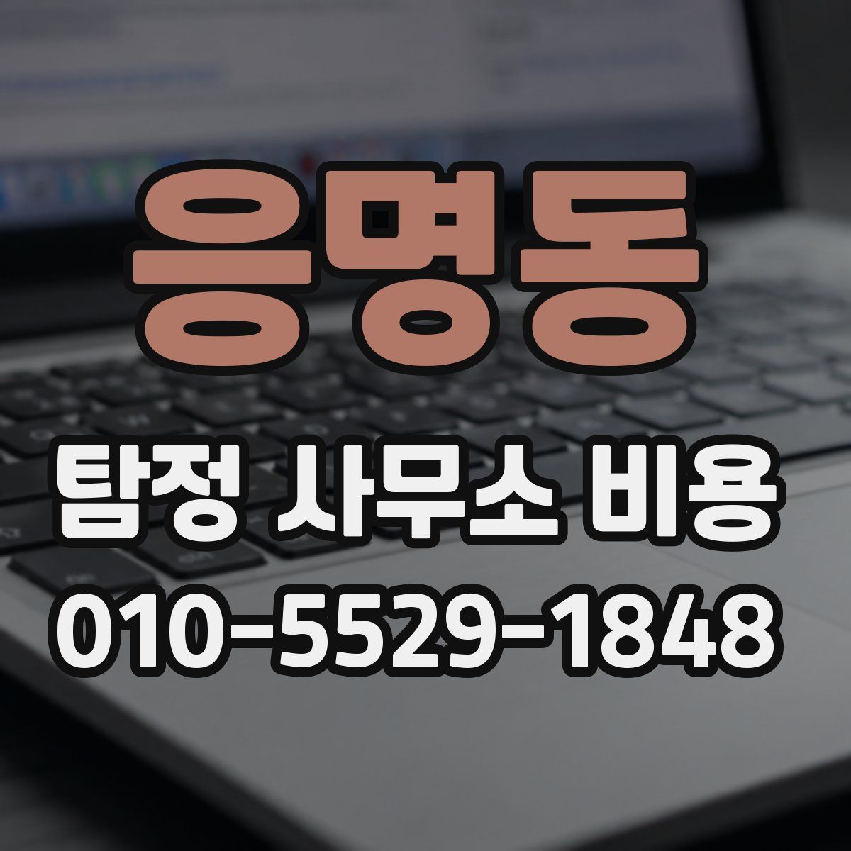응명동 탐정 사무소 비용