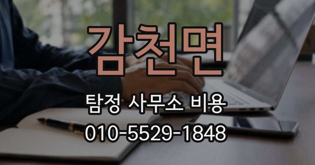 감천면 탐정 사무소 비용