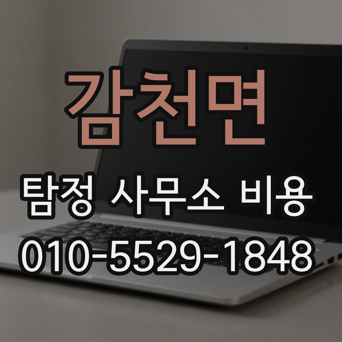 감천면 탐정 사무소 비용