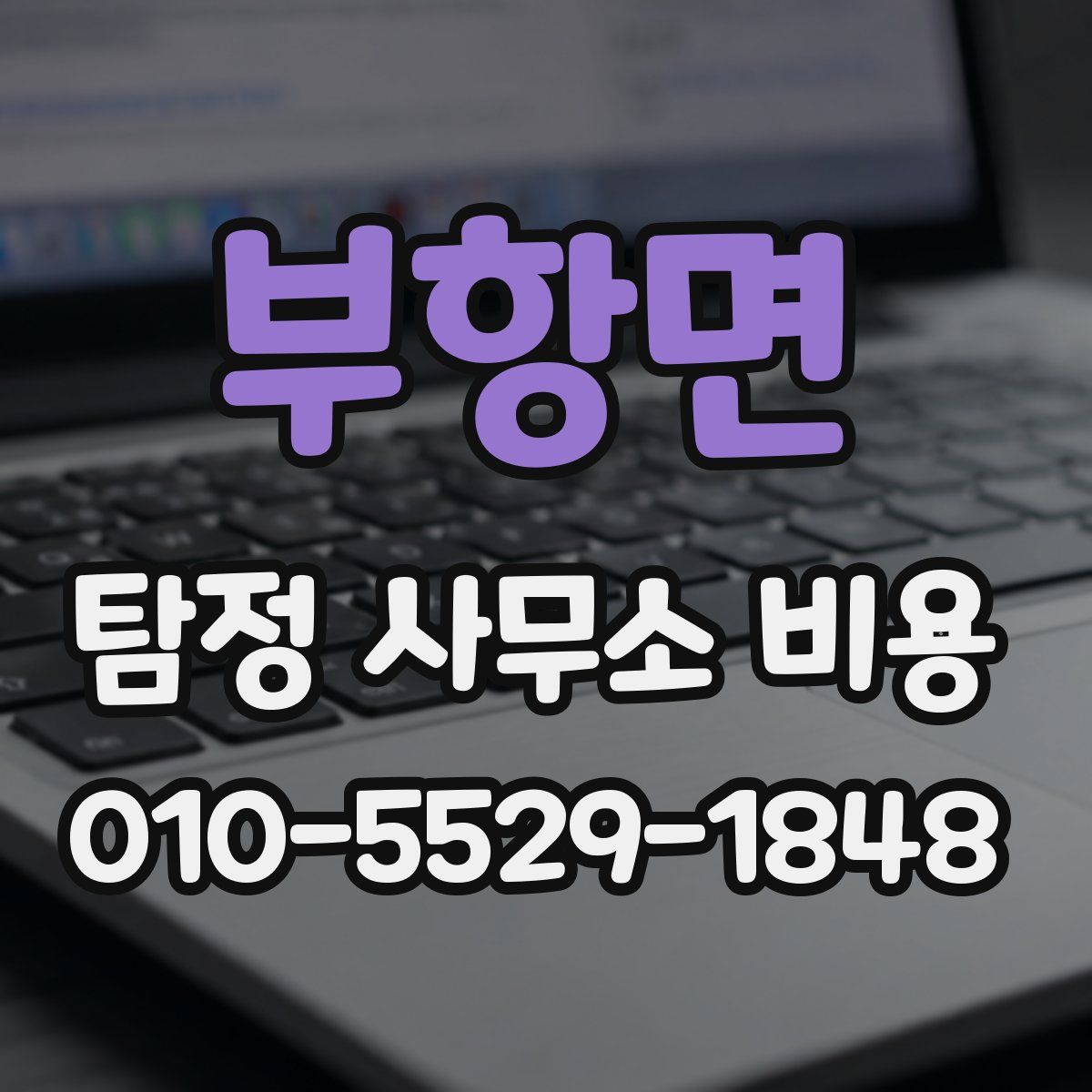 부항면 탐정 사무소 비용