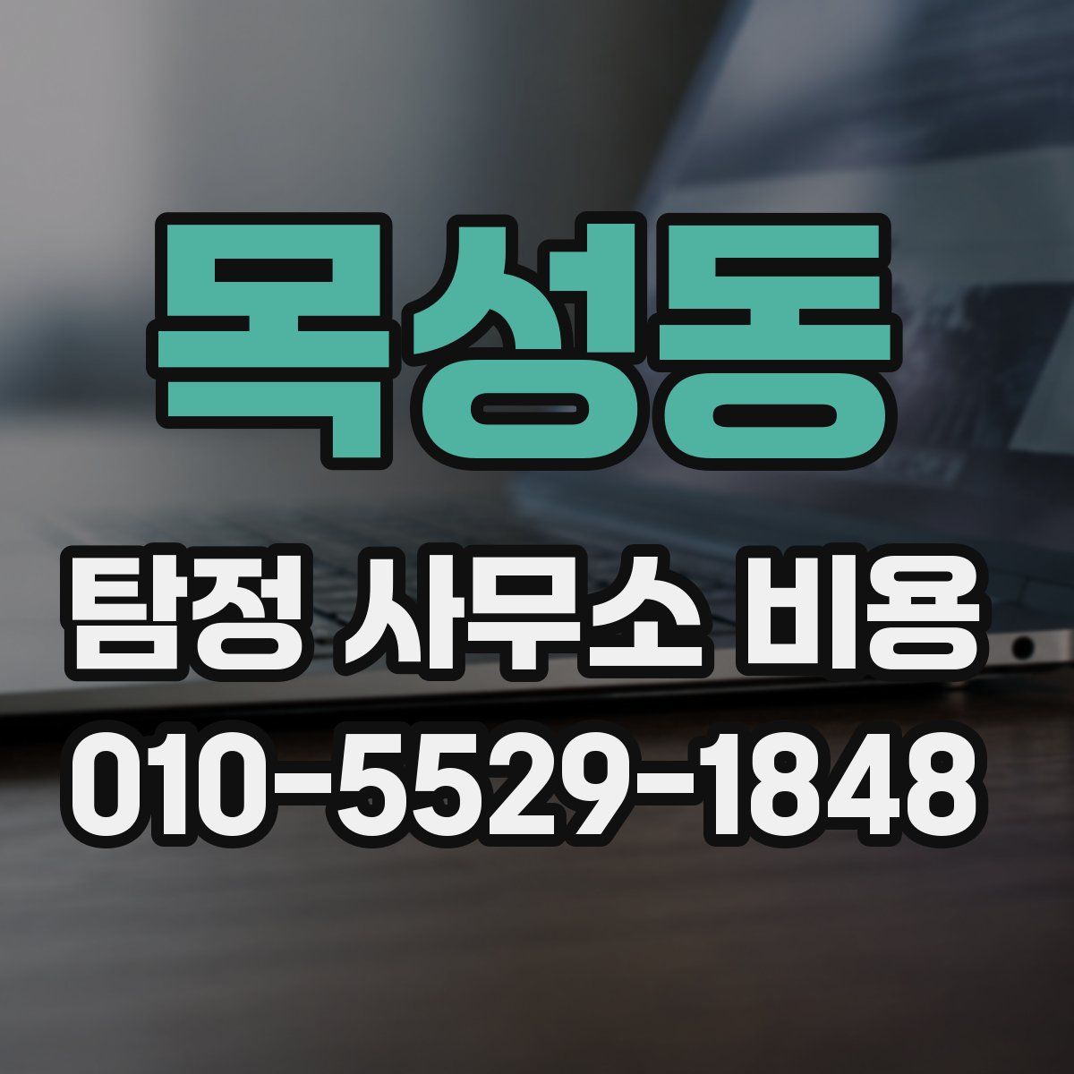 목성동 탐정 사무소 비용