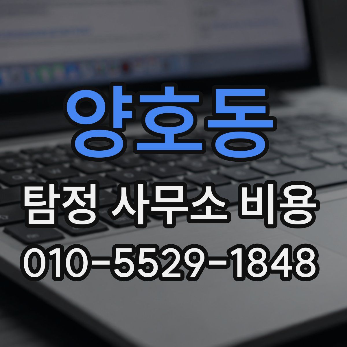 양호동 탐정 사무소 비용