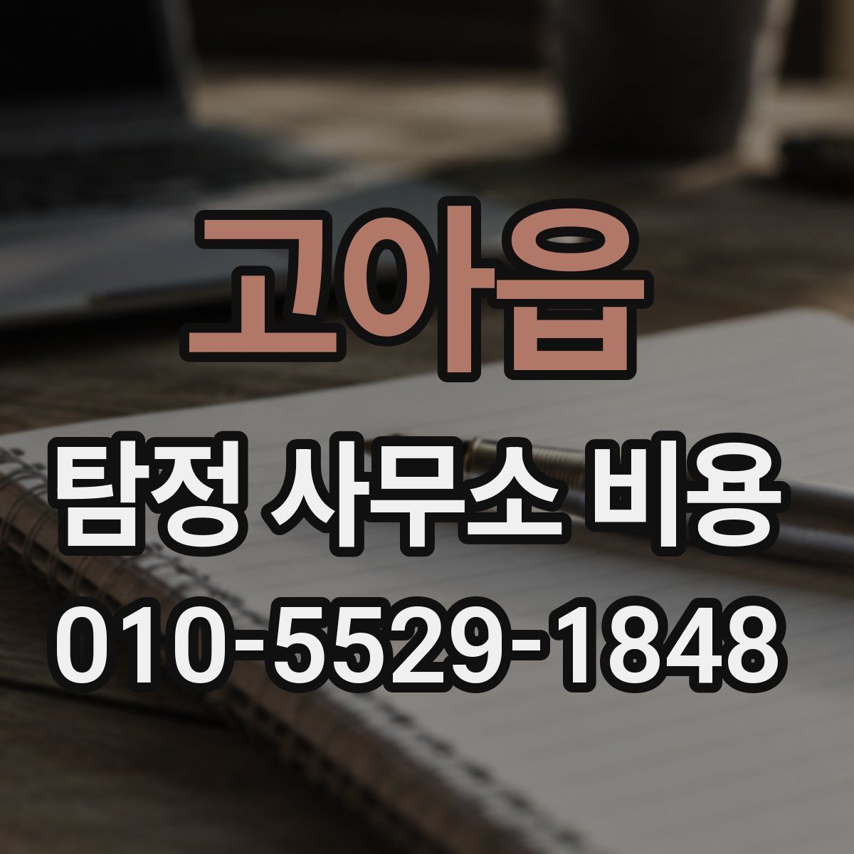 고아읍 탐정 사무소 비용