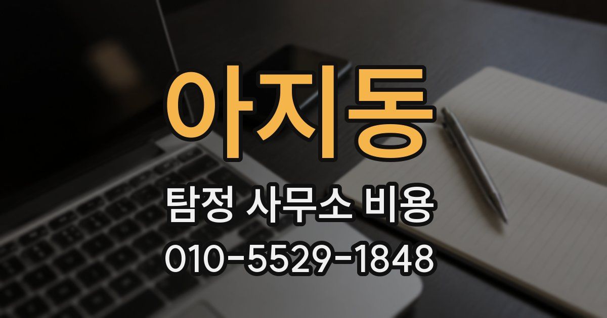 아지동 탐정 사무소 비용