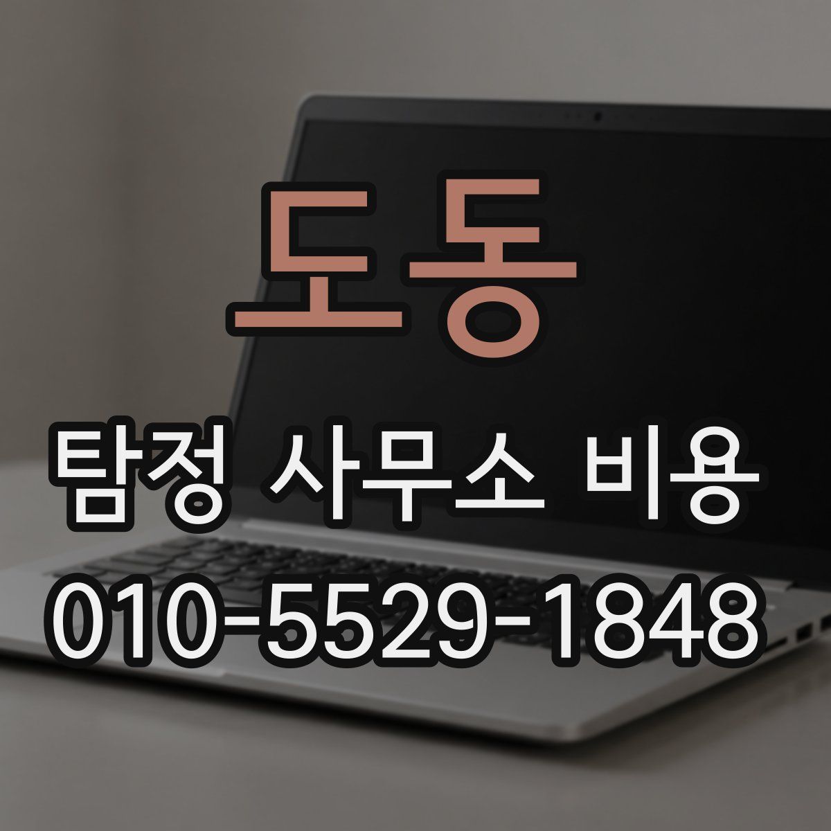 도동 탐정 사무소 비용