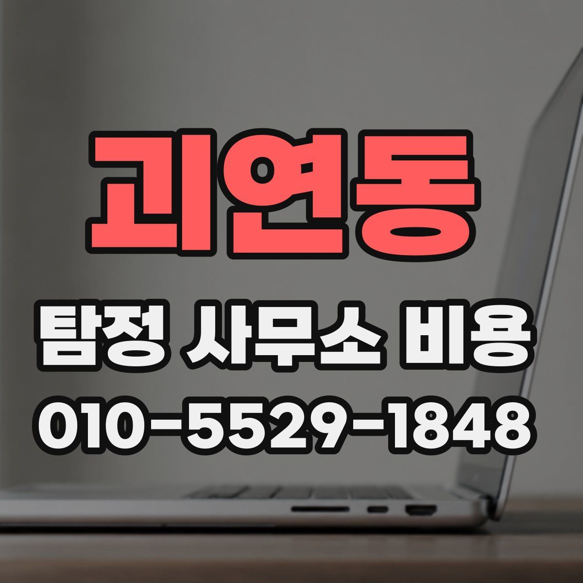 괴연동 탐정 사무소 비용