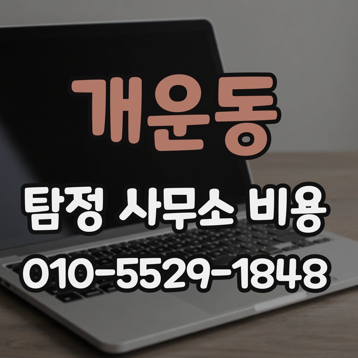 개운동 탐정 사무소 비용