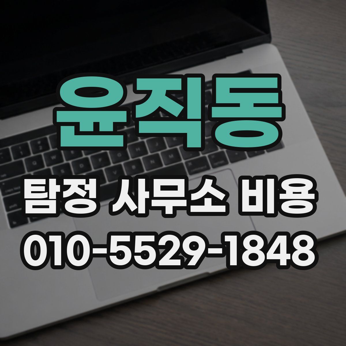 윤직동 탐정 사무소 비용