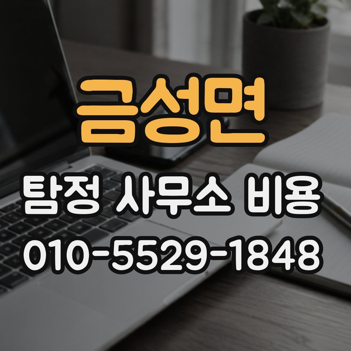 금성면 탐정 사무소 비용