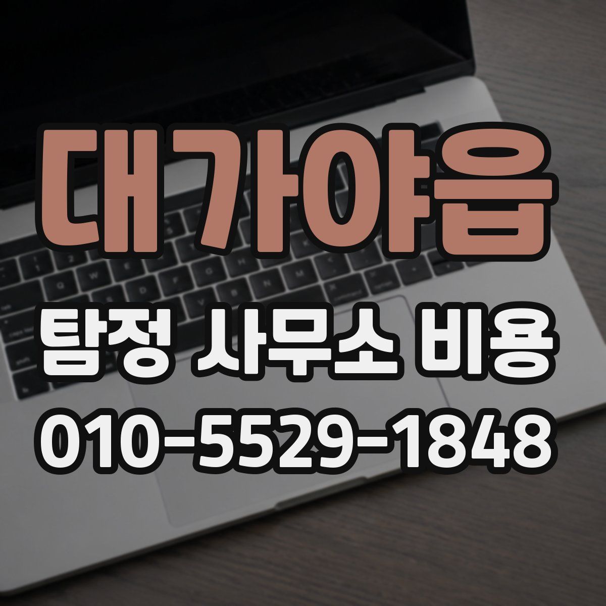 대가야읍 탐정 사무소 비용