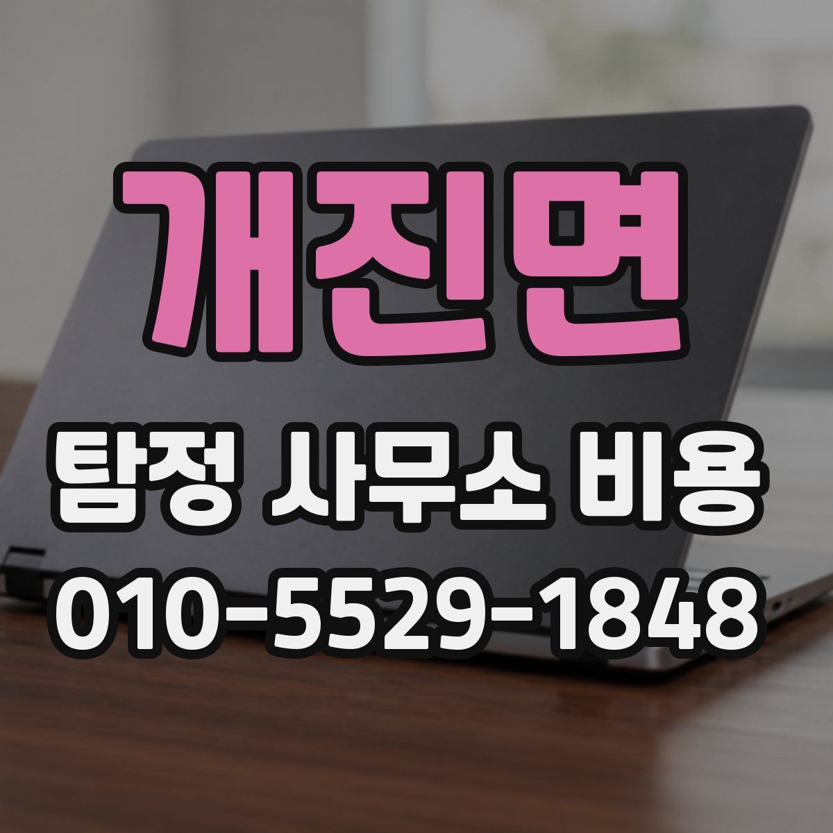 개진면 탐정 사무소 비용
