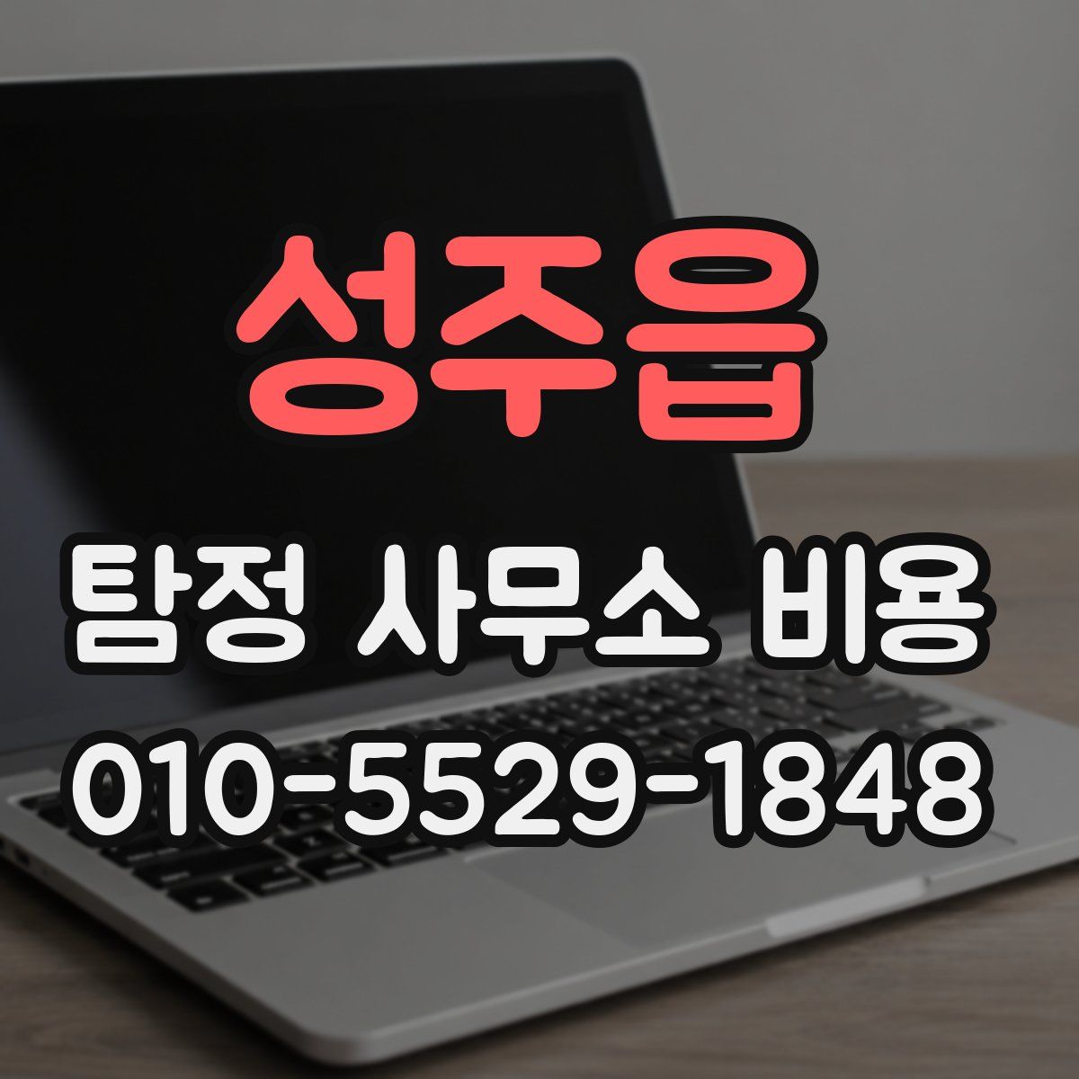 성주읍 탐정 사무소 비용