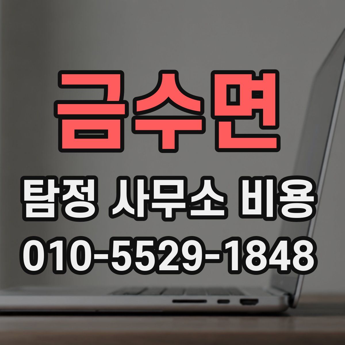 금수면 탐정 사무소 비용