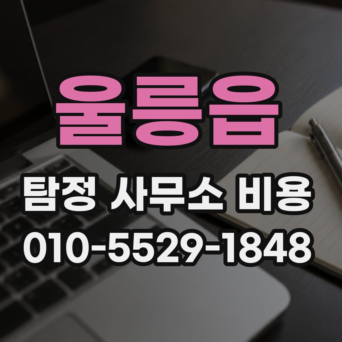 울릉읍 탐정 사무소 비용