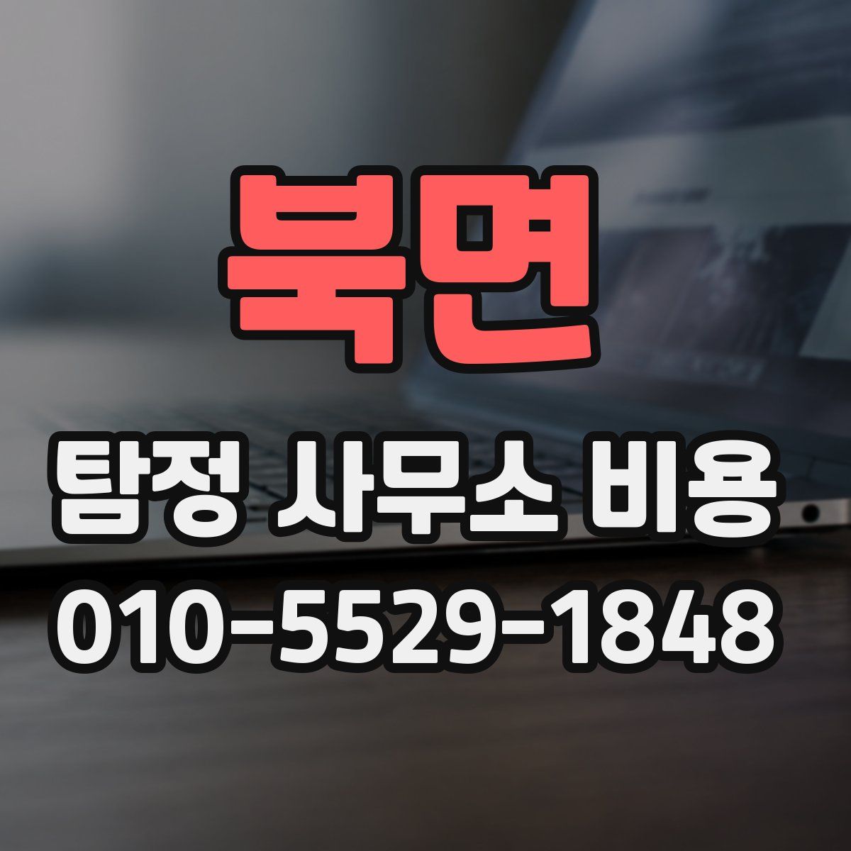 북면 탐정 사무소 비용