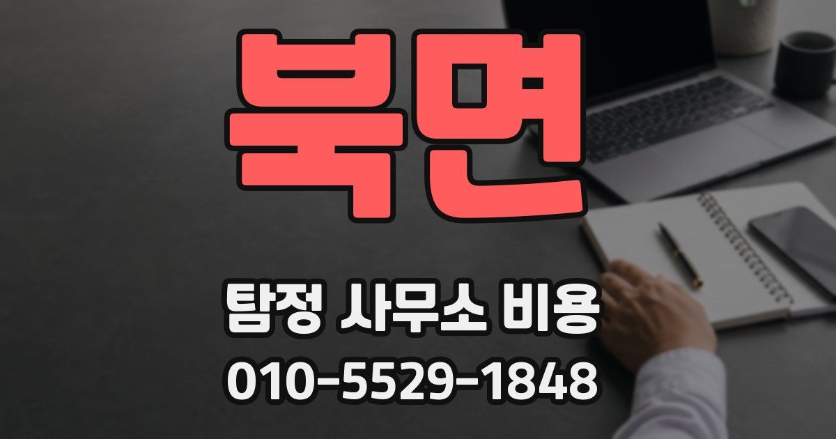 북면 탐정 사무소 비용