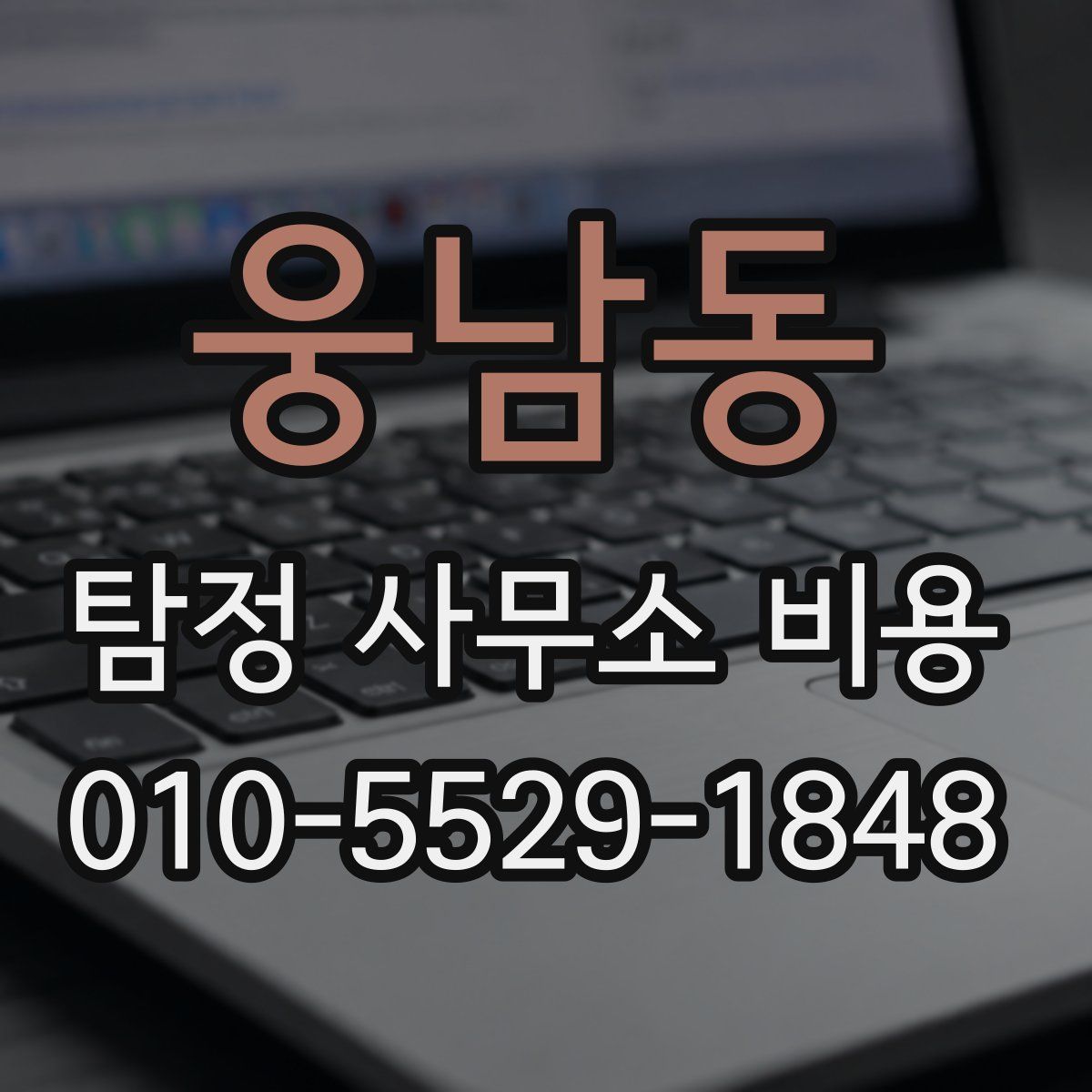 웅남동 탐정 사무소 비용