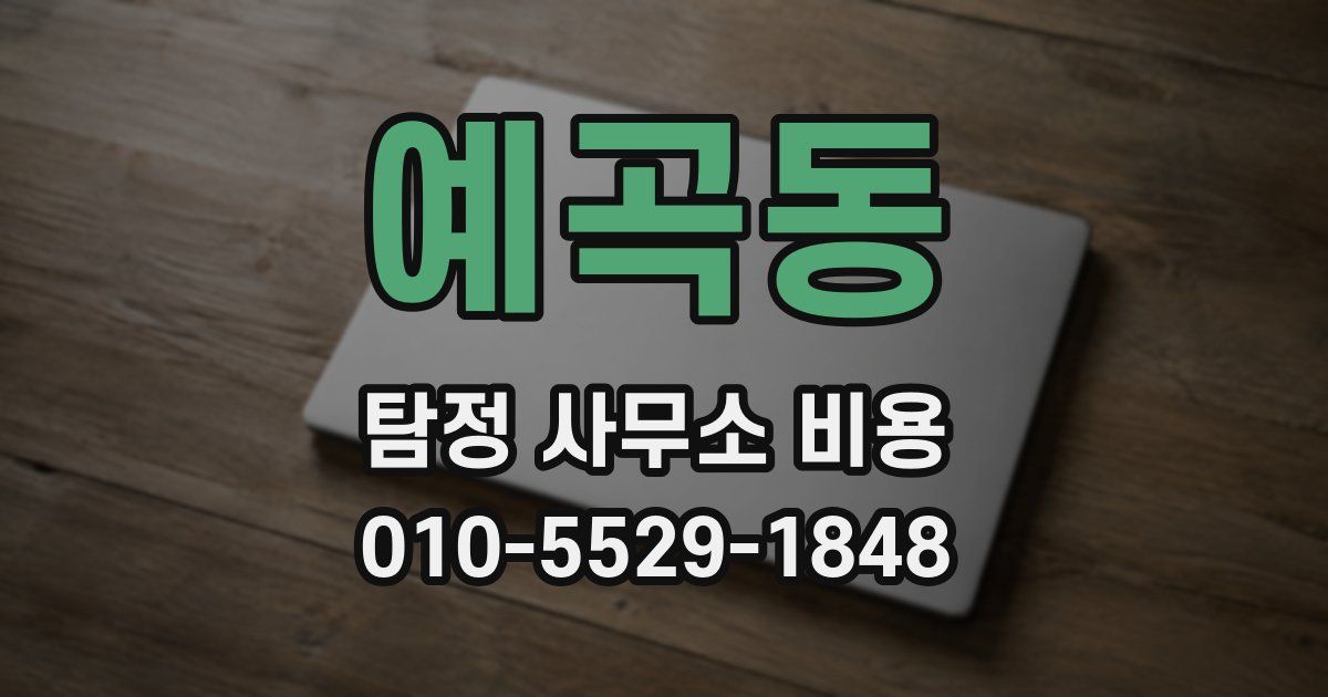 예곡동 탐정 사무소 비용