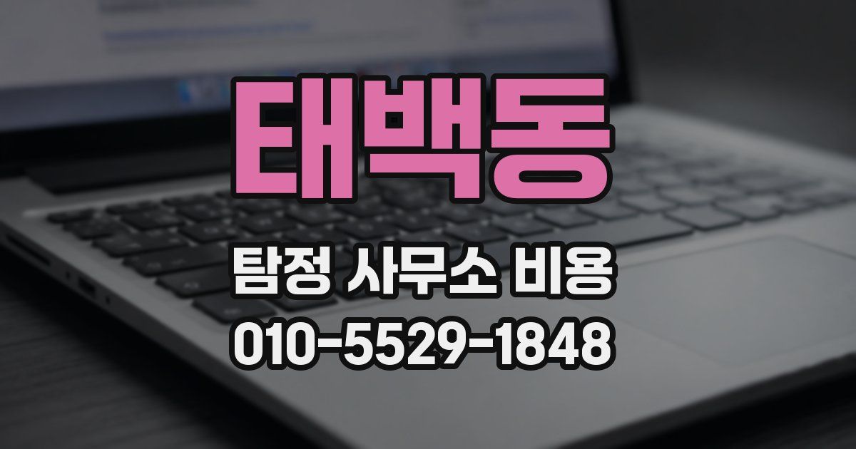 태백동 탐정 사무소 비용