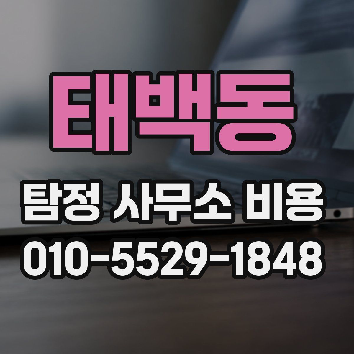 태백동 탐정 사무소 비용