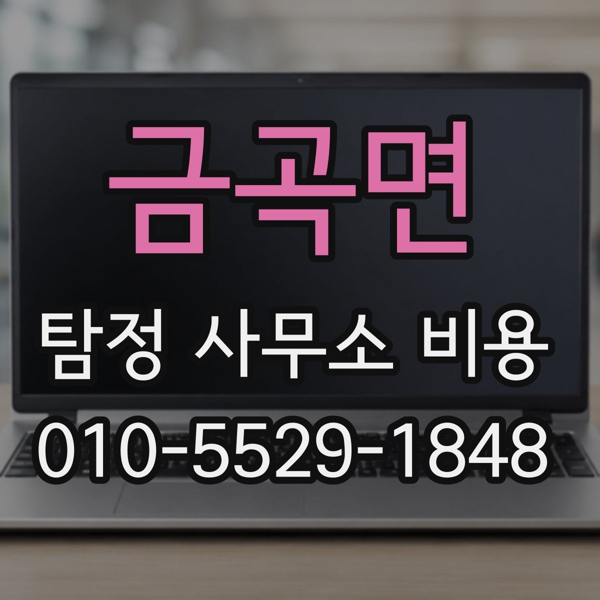 금곡면 탐정 사무소 비용