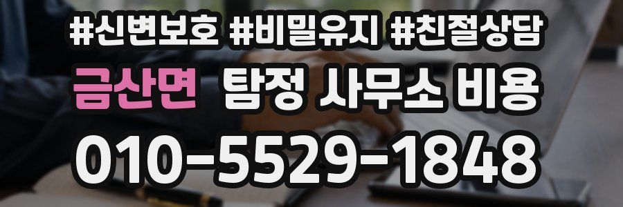 금산면 탐정 사무소 비용