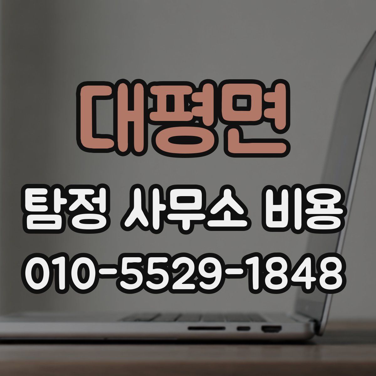 대평면 탐정 사무소 비용