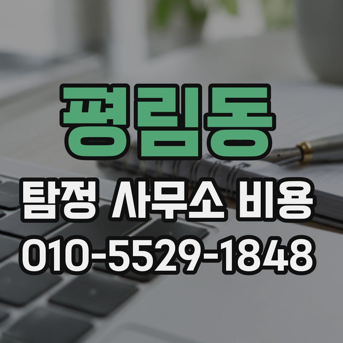 평림동 탐정 사무소 비용