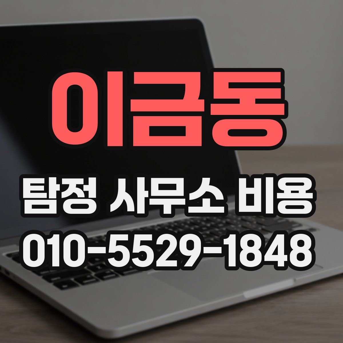 이금동 탐정 사무소 비용