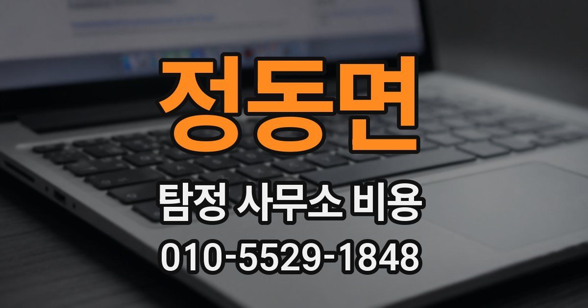 정동면 탐정 사무소 비용