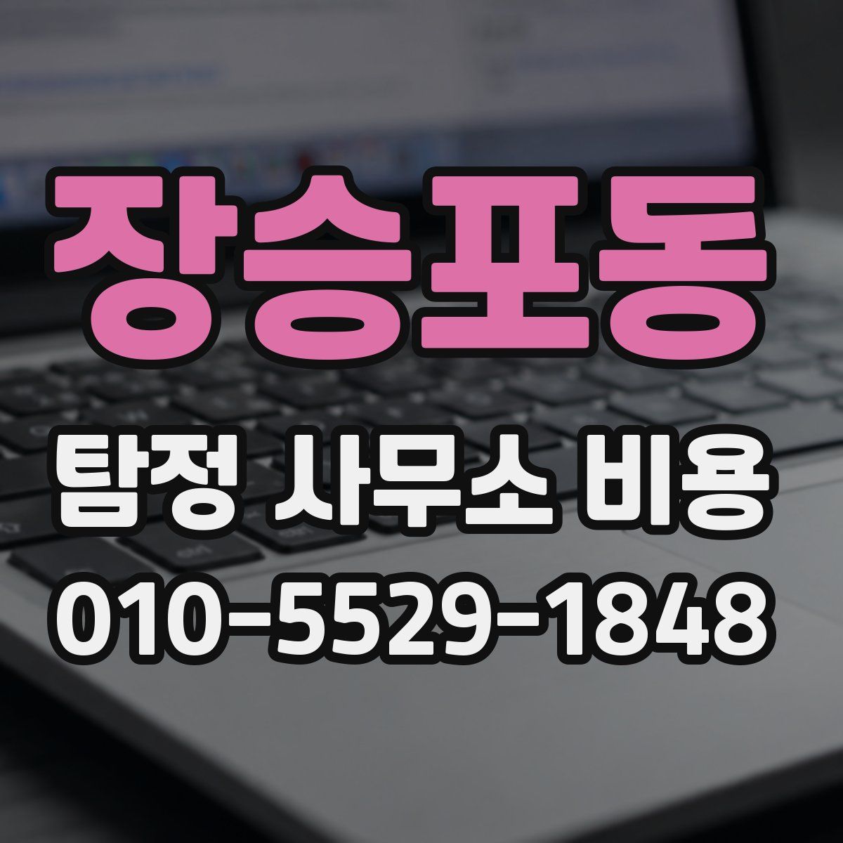 장승포동 탐정 사무소 비용