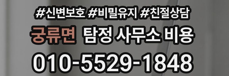 궁류면 탐정 사무소 비용