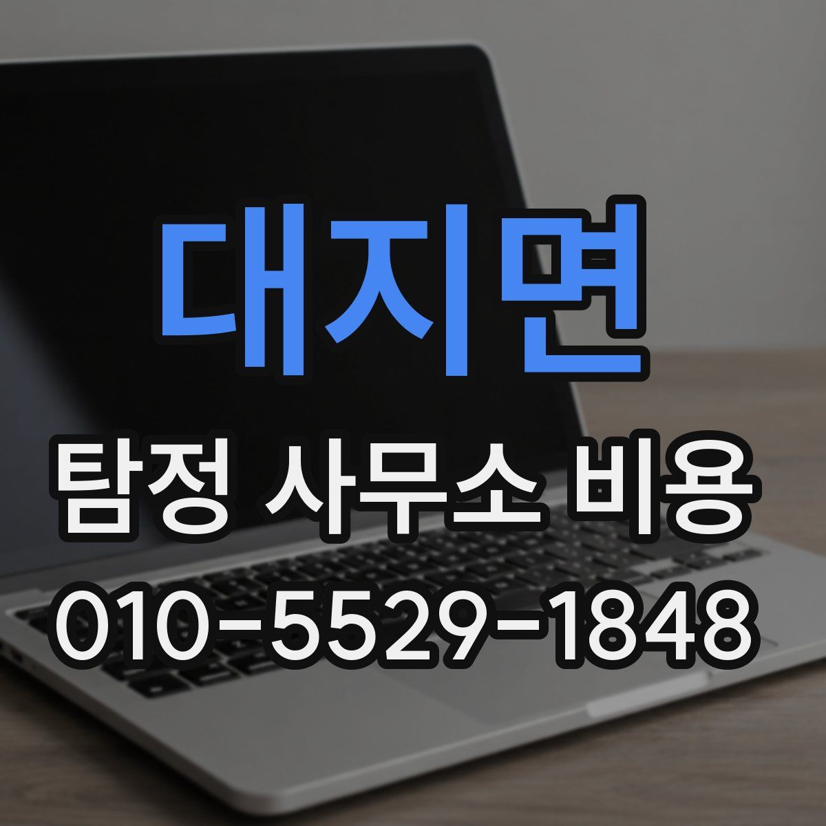 대지면 탐정 사무소 비용