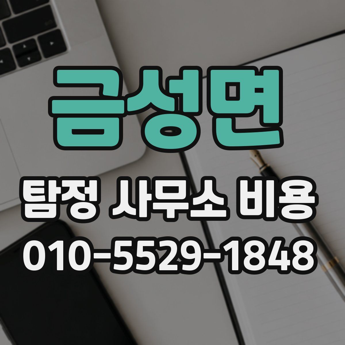 금성면 탐정 사무소 비용