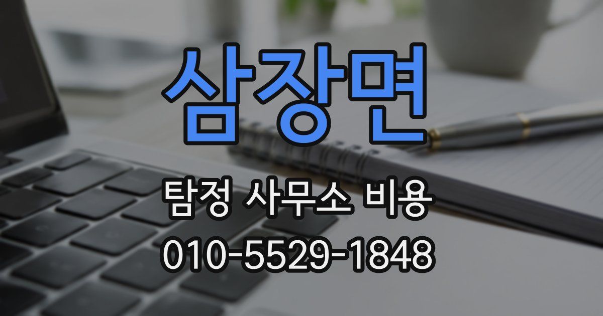 삼장면 탐정 사무소 비용