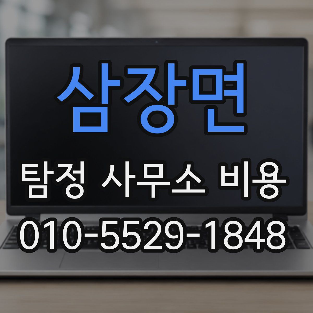 삼장면 탐정 사무소 비용